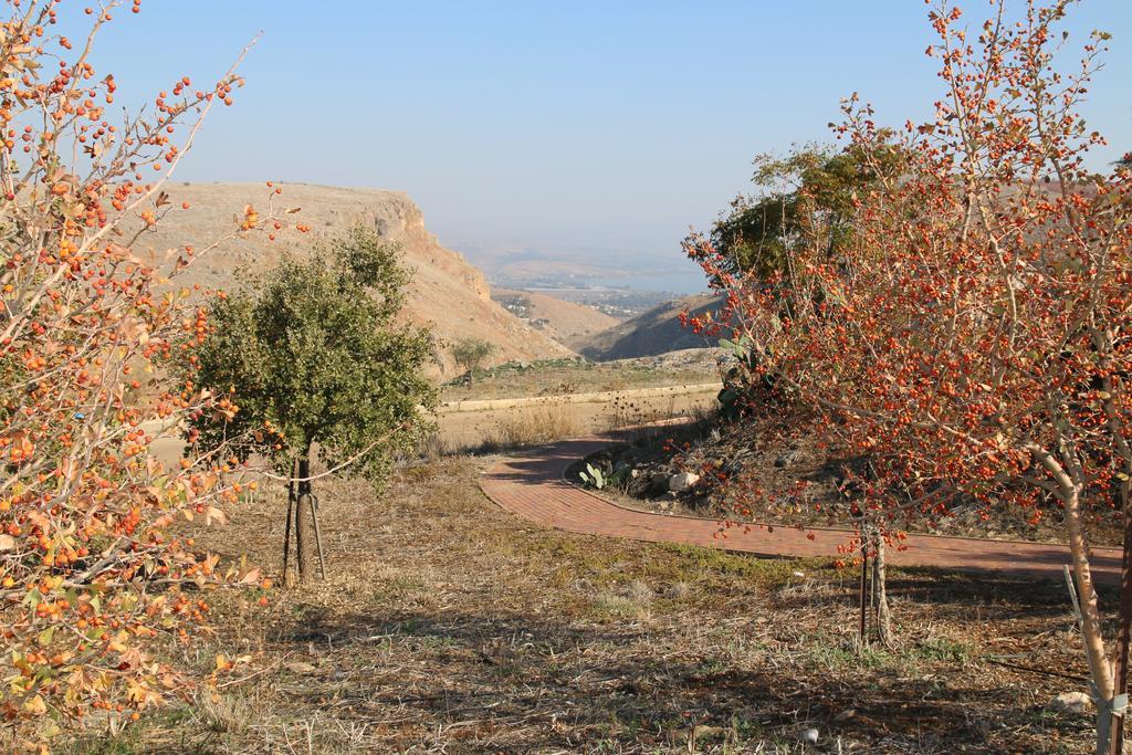 Switzerland In The Arbel Pensionat Eksteriør billede